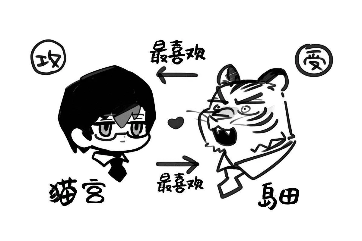 猫系男友 第5页