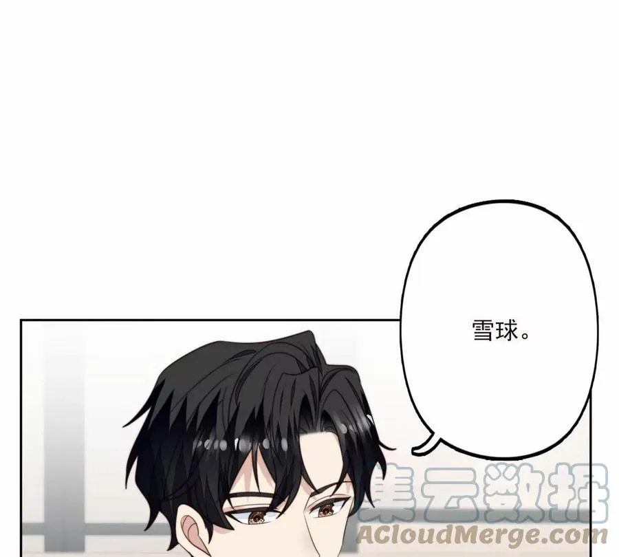 76 被看到了 第46页