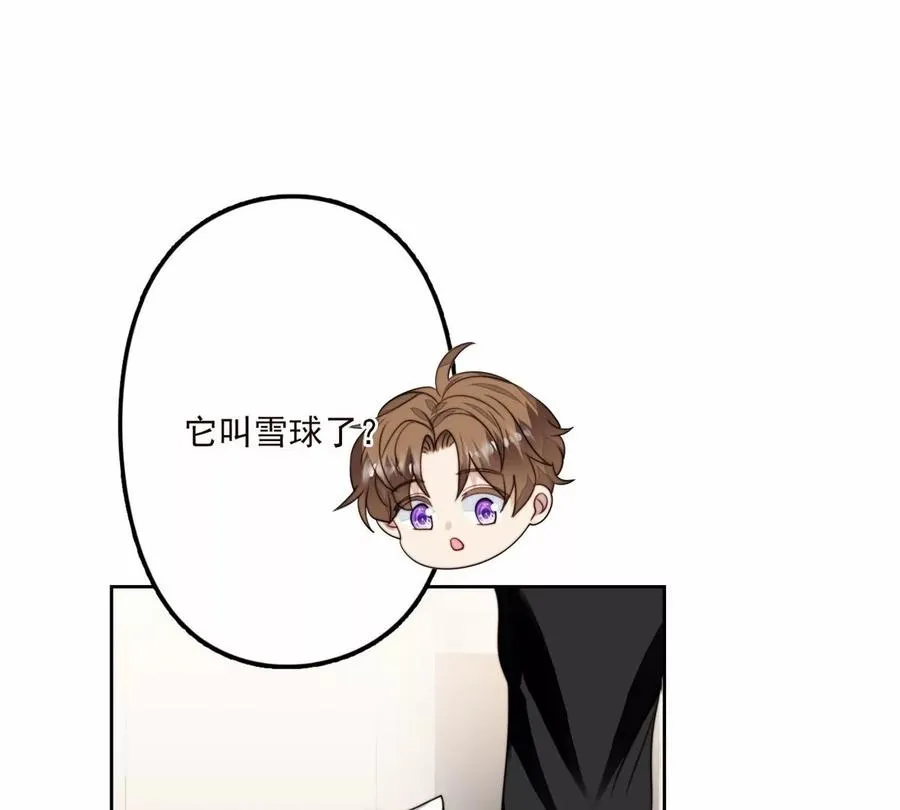 76 被看到了 第50页