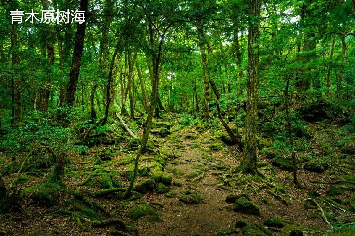 第01话 第30页
