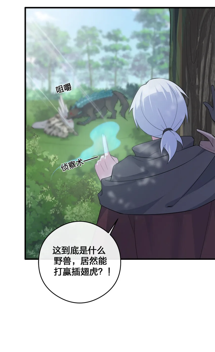 004 划分区域 第30页