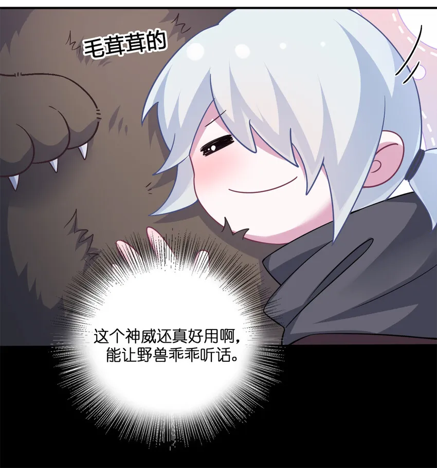 004 划分区域 第38页