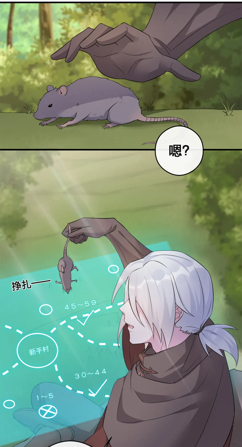 004 划分区域 第43页