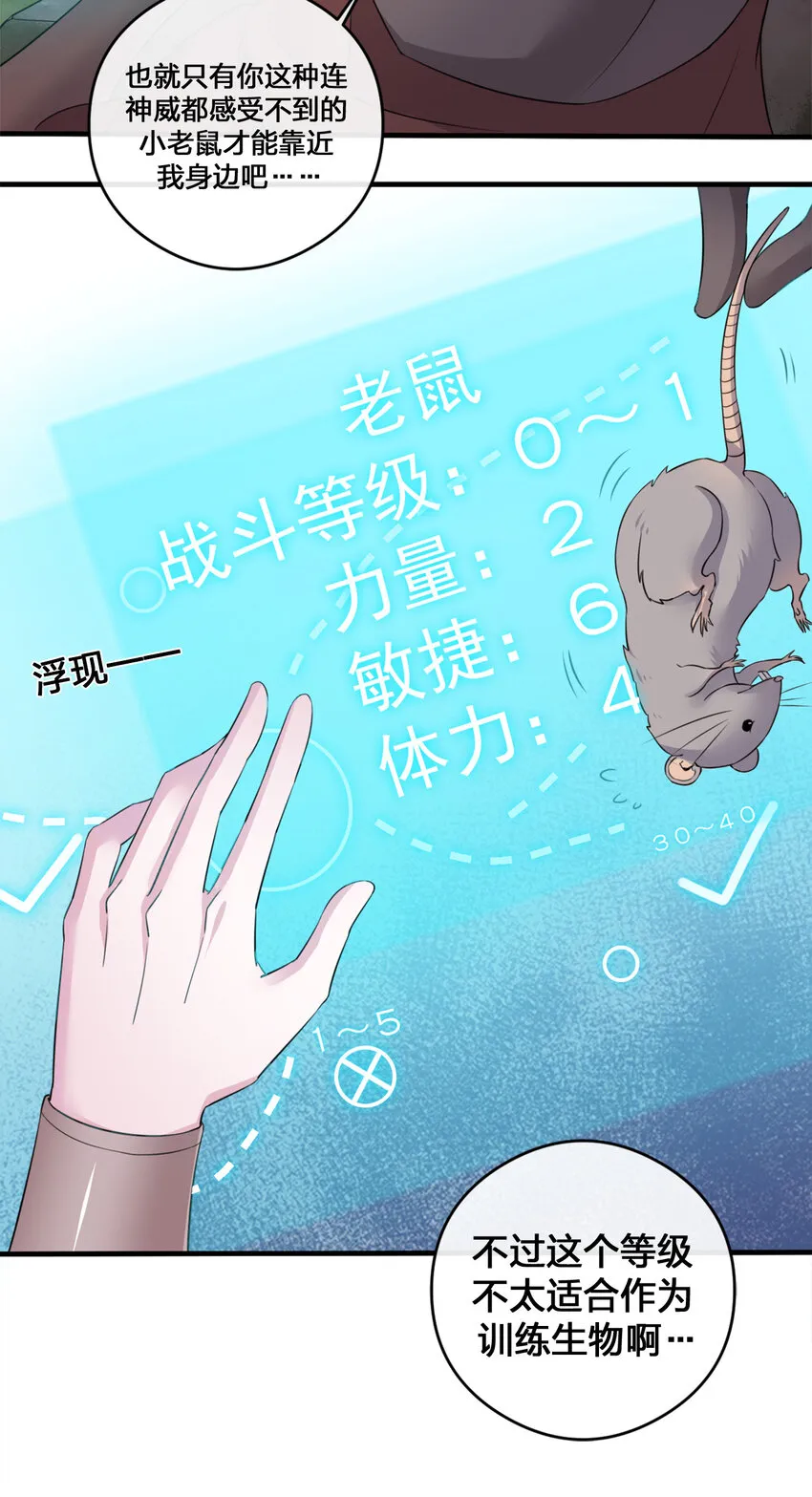 004 划分区域 第44页