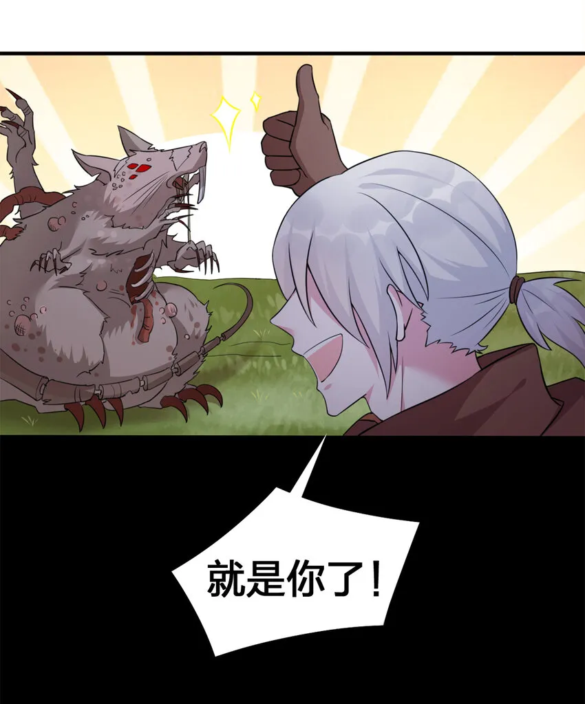 004 划分区域 第48页