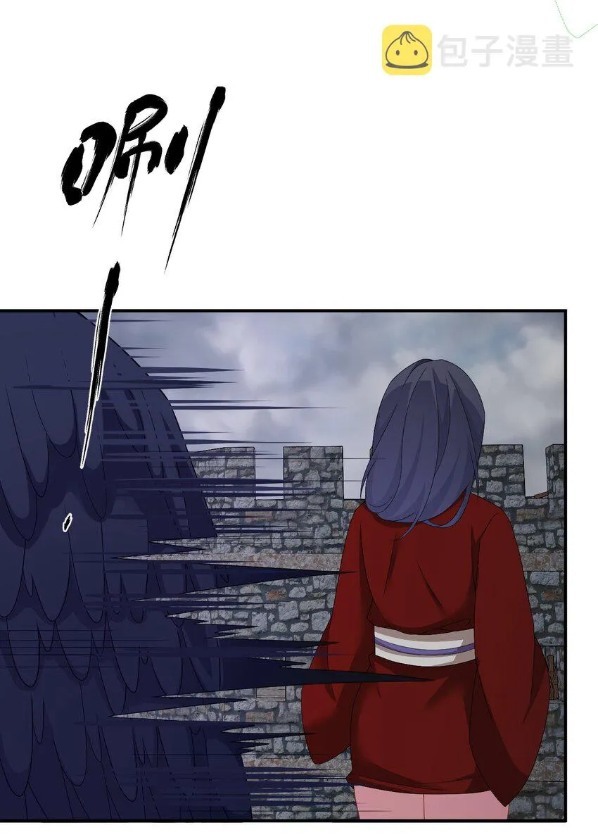 070 天上掉下个女刺客 第51页
