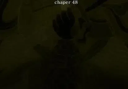 48 第3页