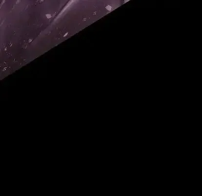 48 第48页
