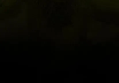 47 第4页