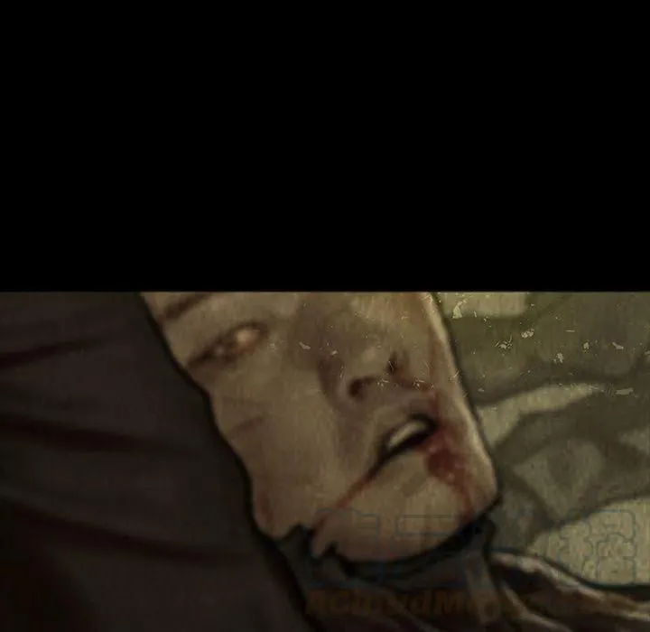 46 第13页