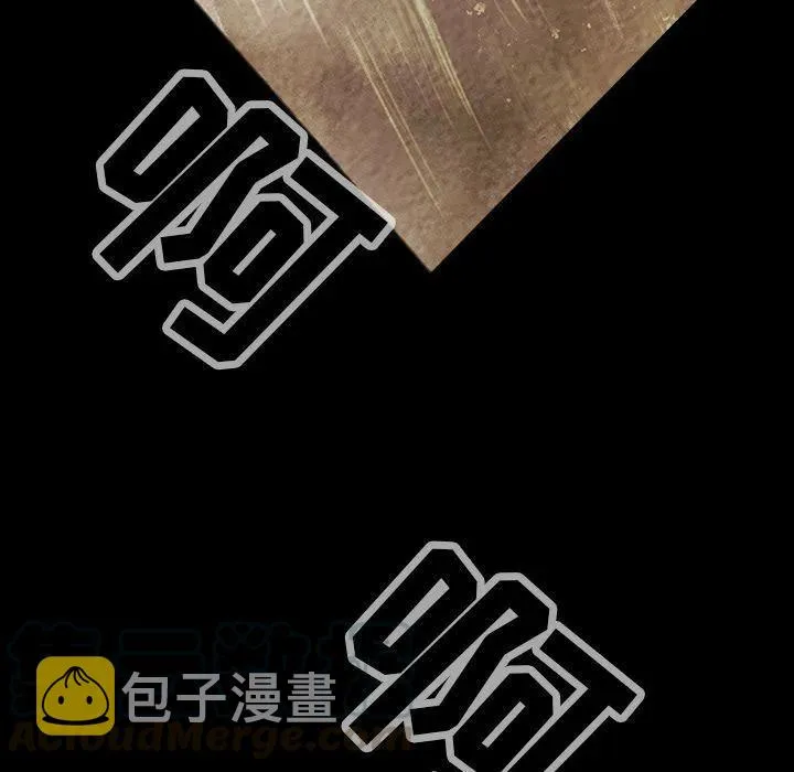 46 第101页