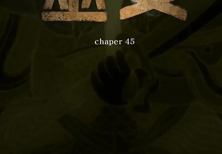 45 第3页