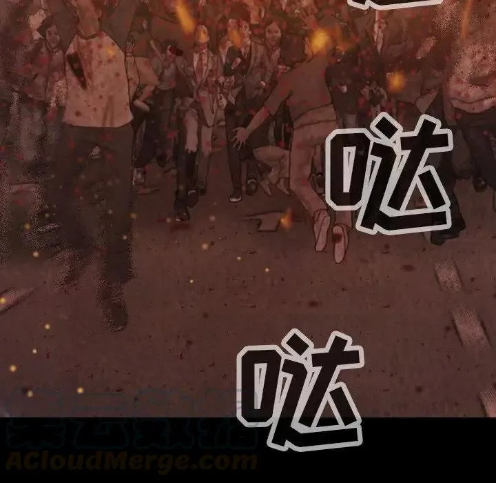 45 第21页