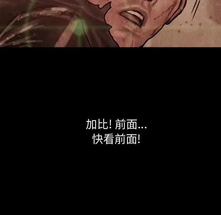 45 第43页