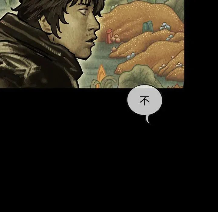 44 第41页