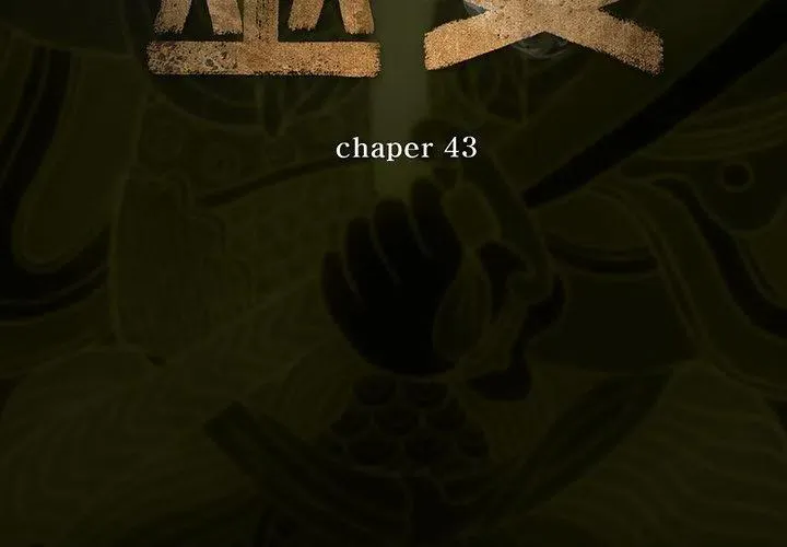 43 第3页