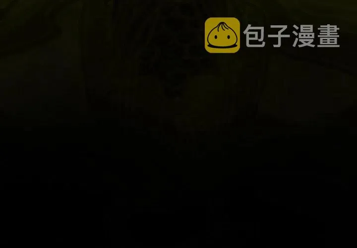 43 第4页