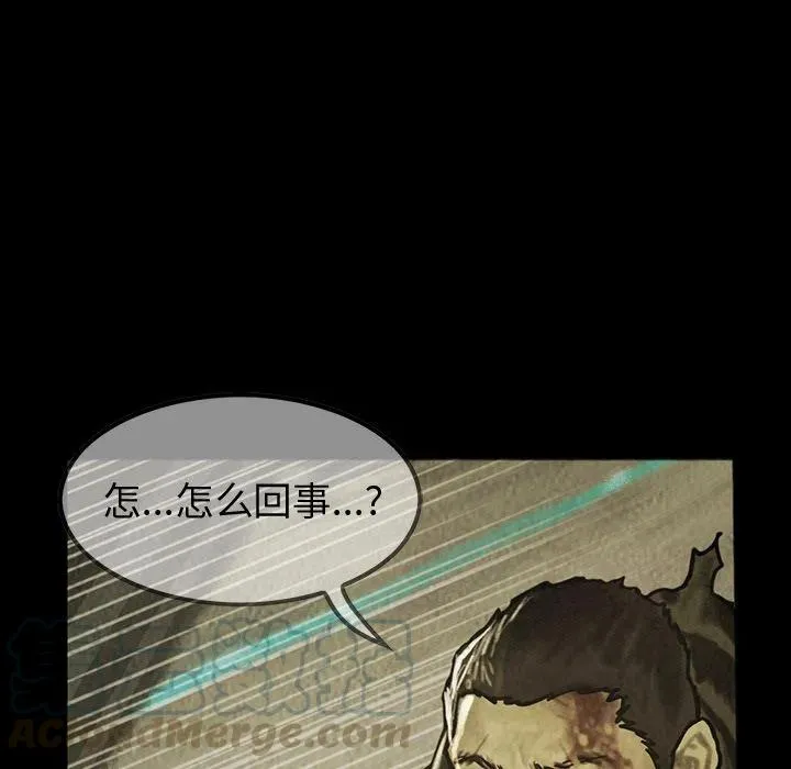 43 第17页