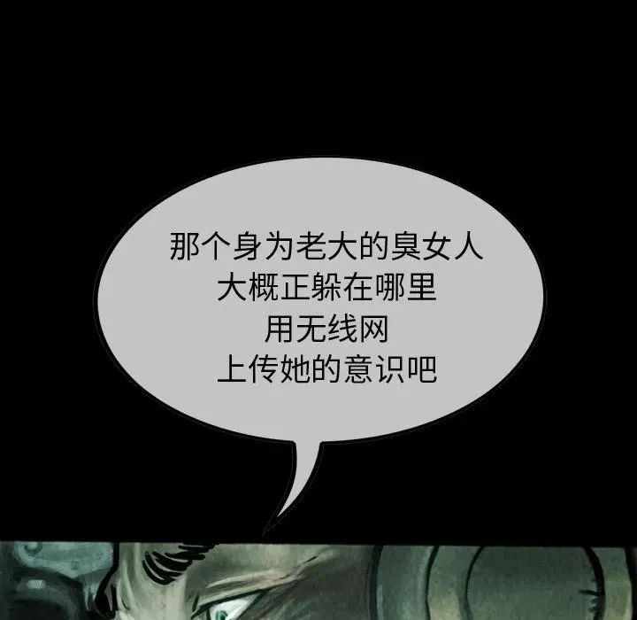 43 第24页