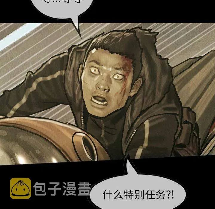 43 第51页