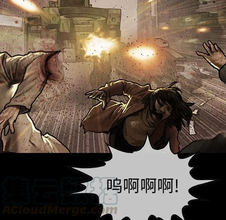 43 第65页