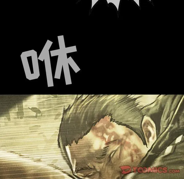 43 第66页