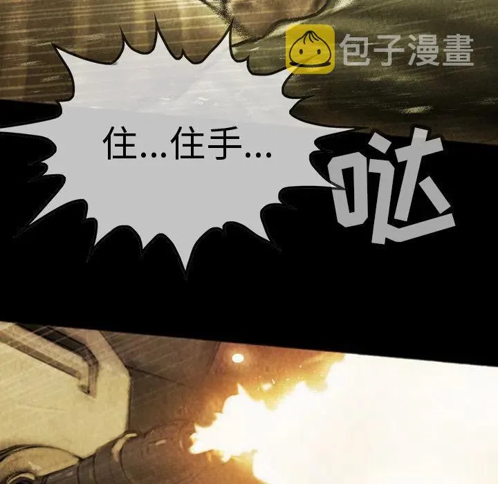 43 第67页