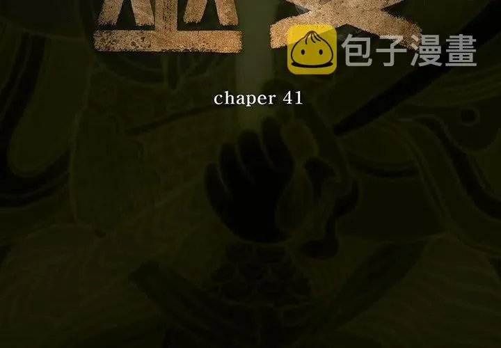41 第3页