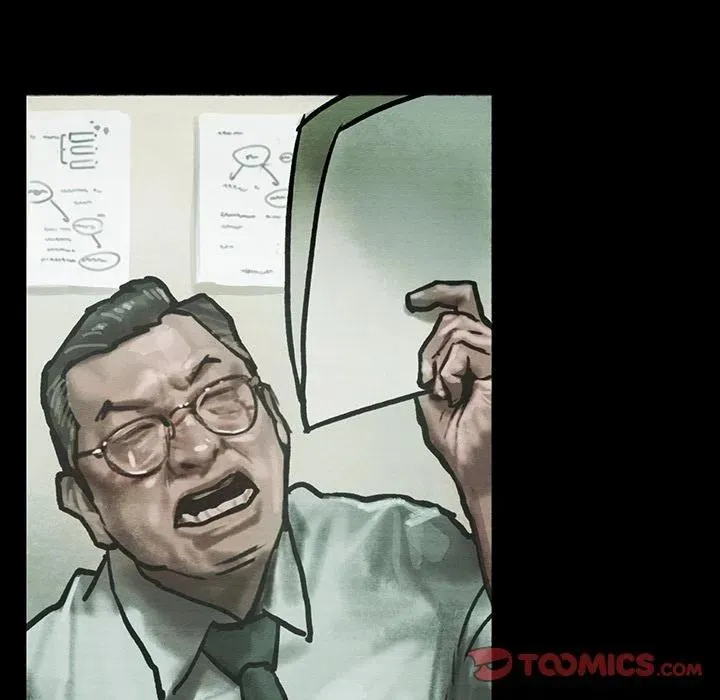 41 第8页
