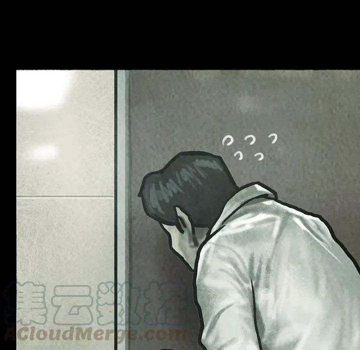 41 第13页