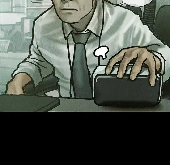 41 第33页