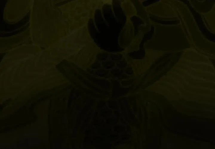 40 第3页