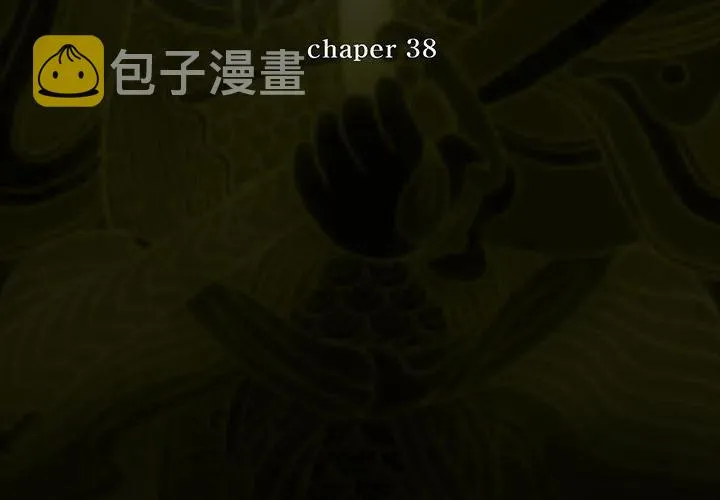 38 第3页