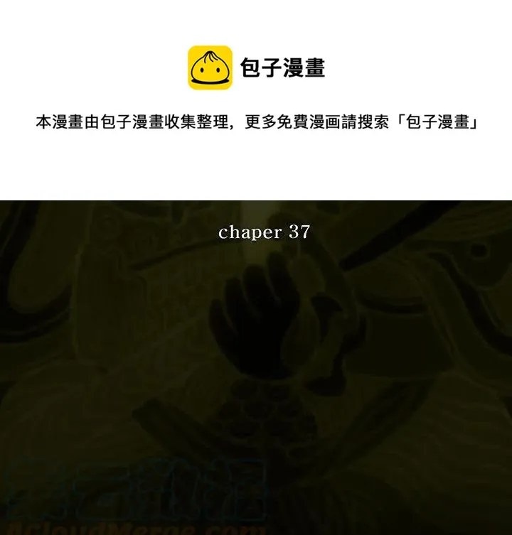 37 第1页