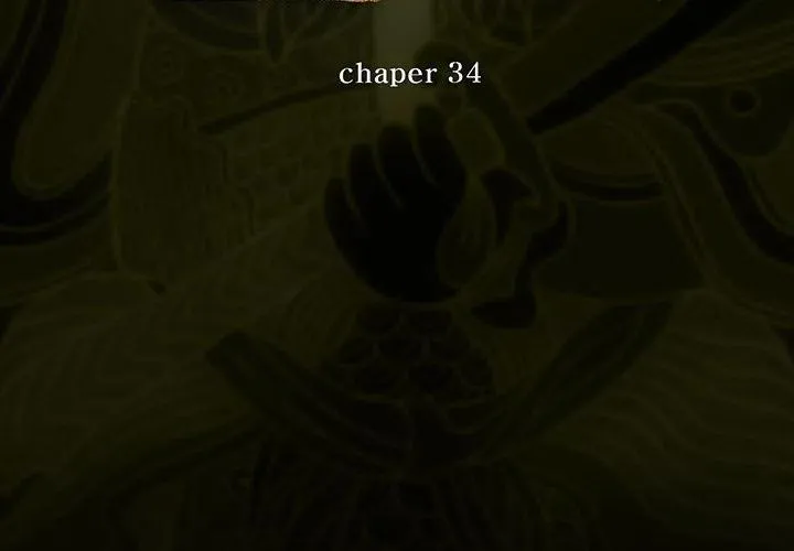 34 第3页