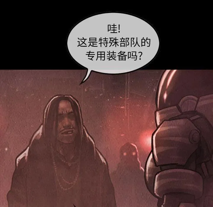 33 第56页