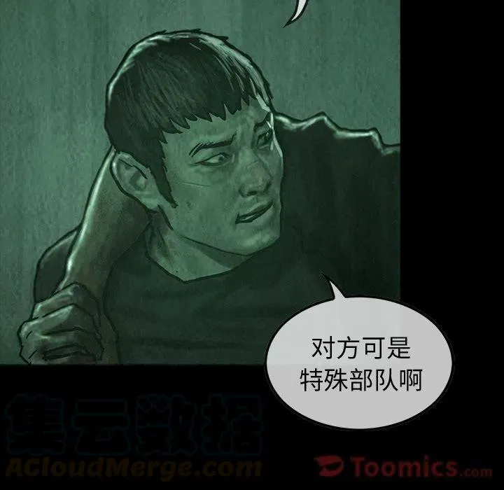 33 第117页