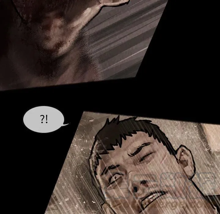 31 第55页