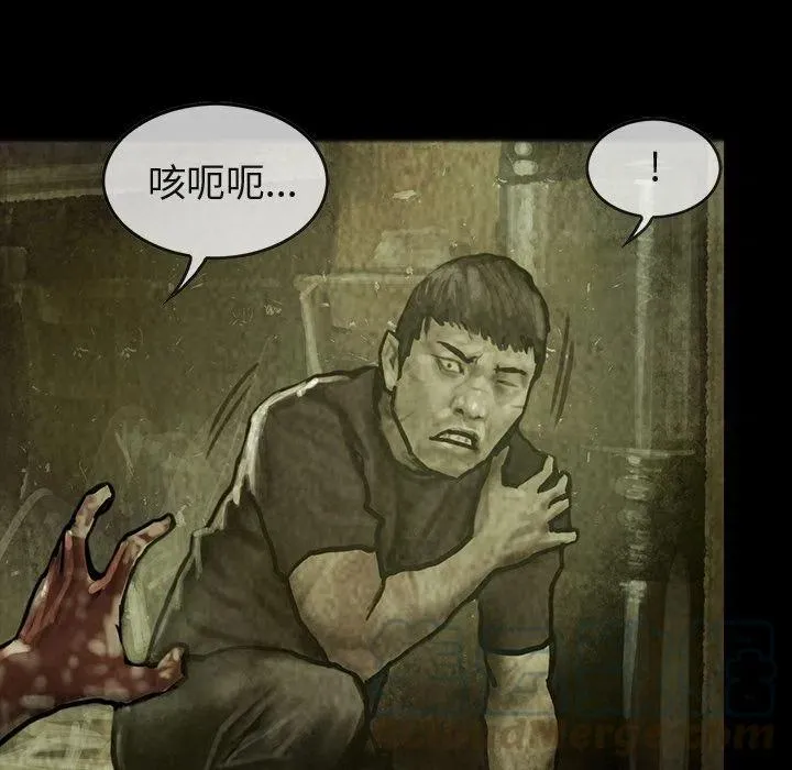 31 第79页
