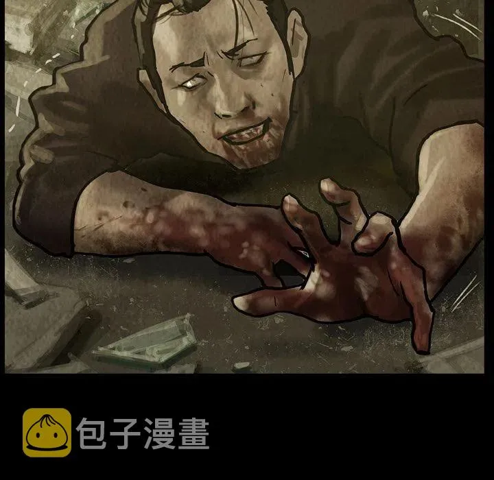 31 第81页