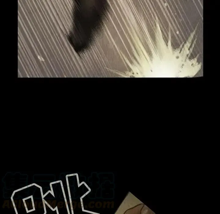 29 第28页