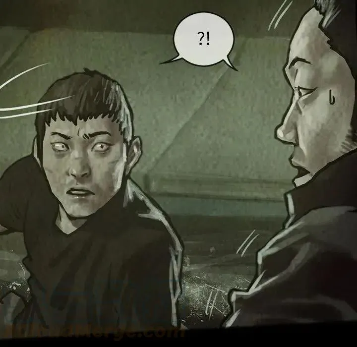 29 第40页