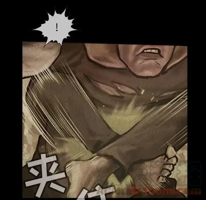29 第55页