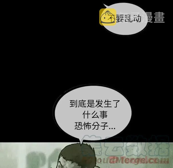 29 第61页
