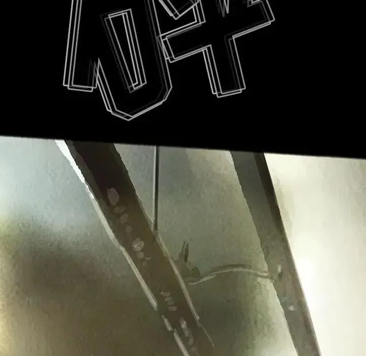 29 第75页