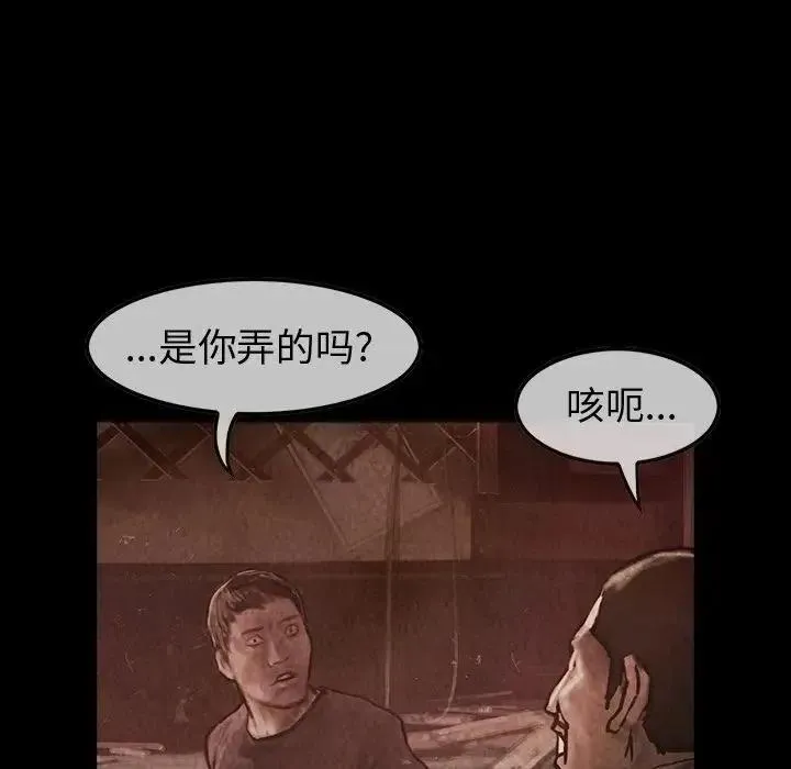 29 第81页