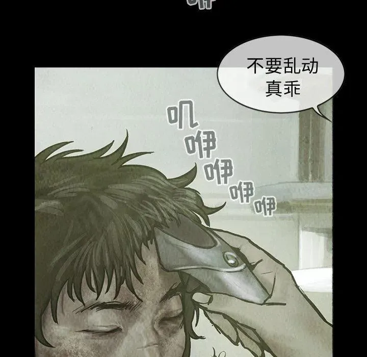 26 第41页