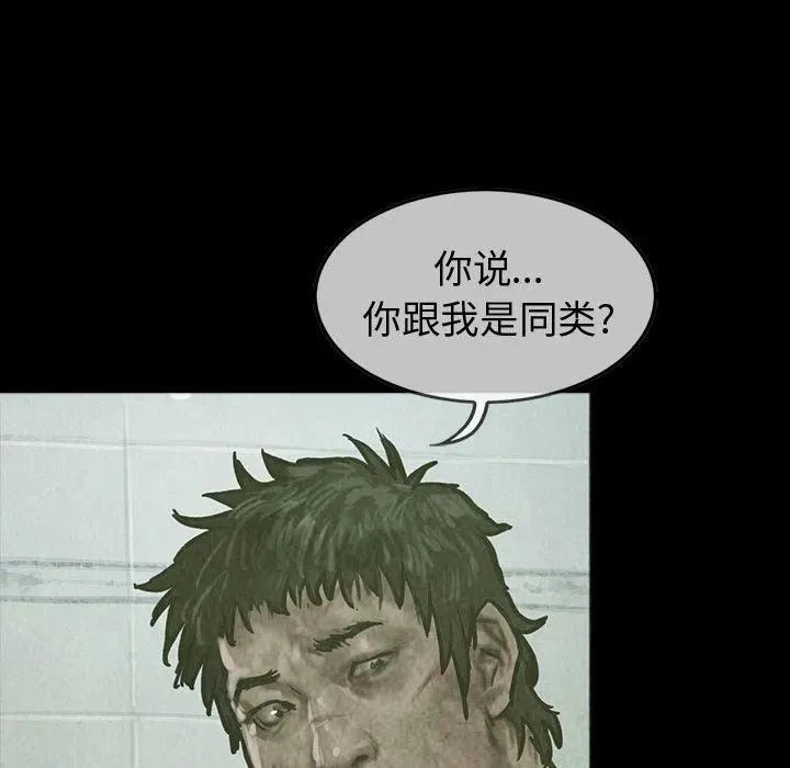 26 第66页