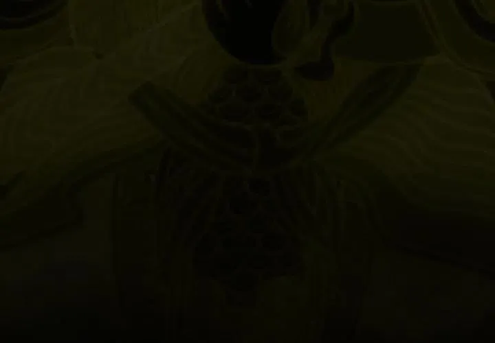 25 第3页