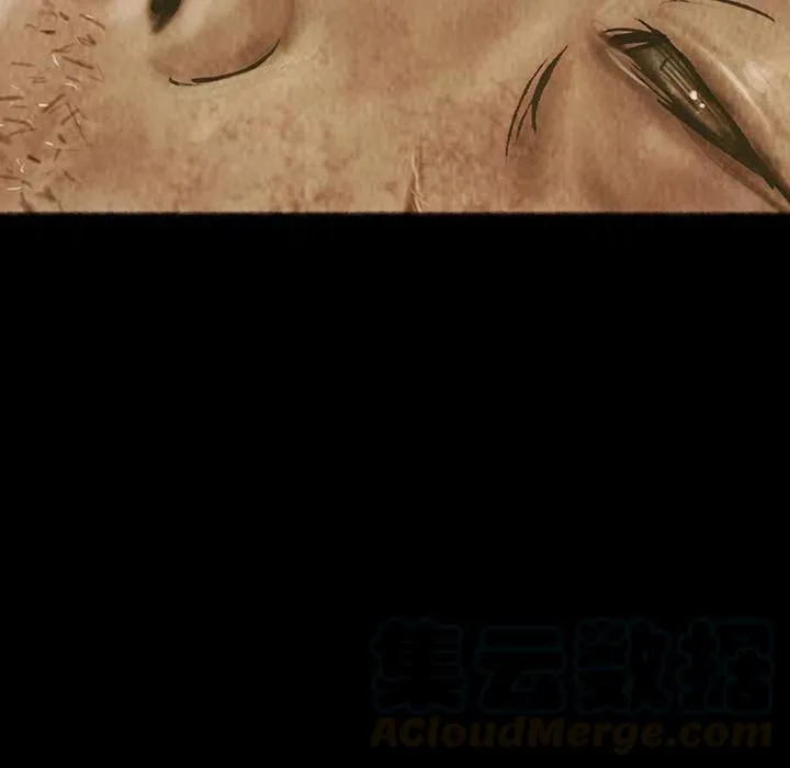 25 第28页